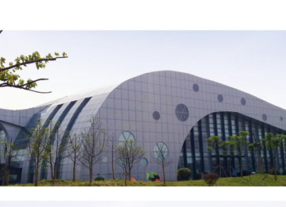 南岸会议中心外景网架工程